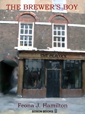 cover image of The Brewer's Boy